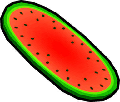 Watermelon Hoverboard
