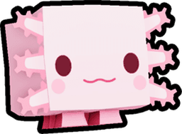Axolotl
