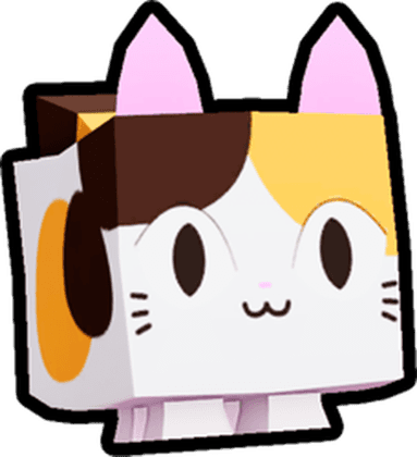 Calico Cat